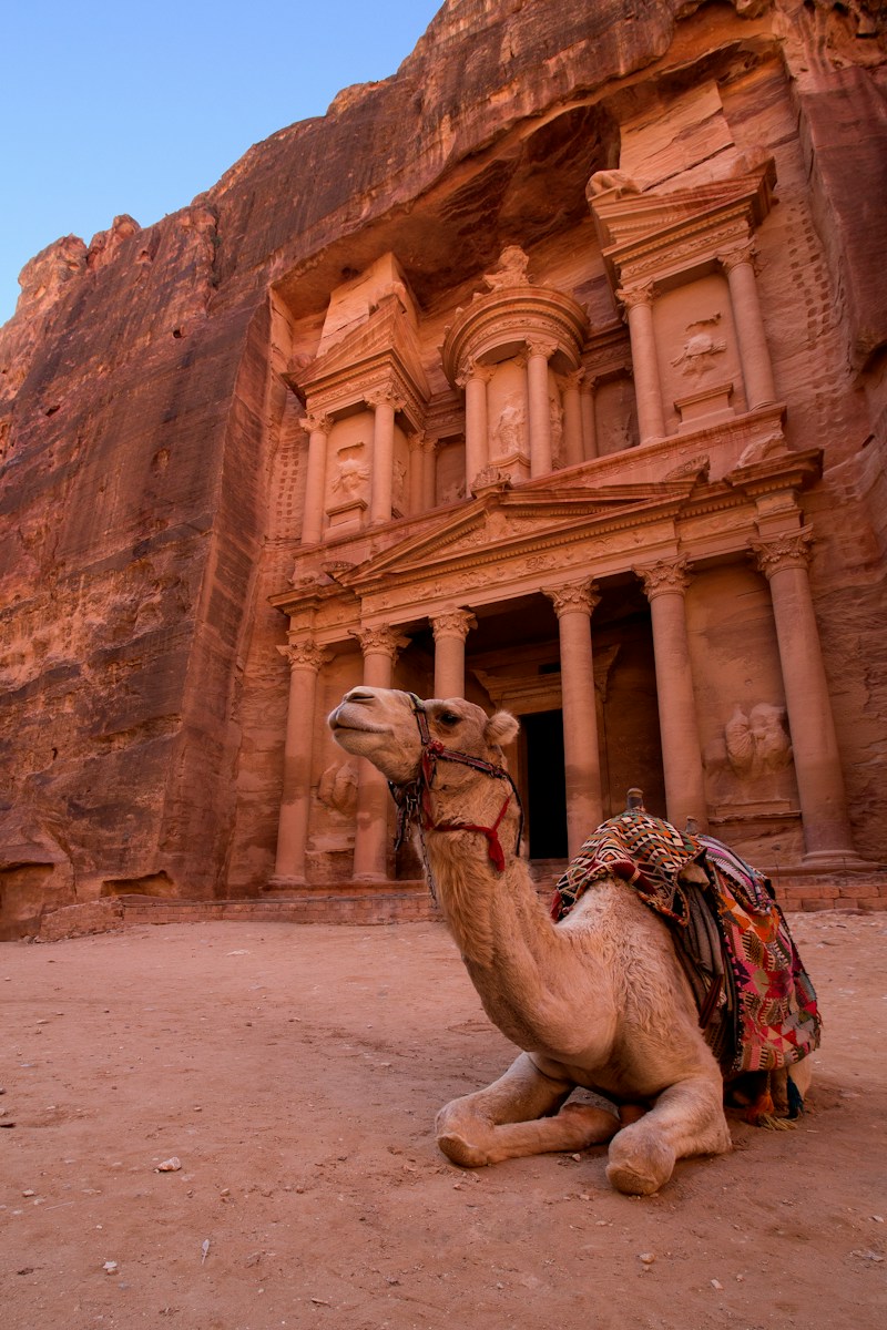 brown camel in front of brown rock formation during daytime